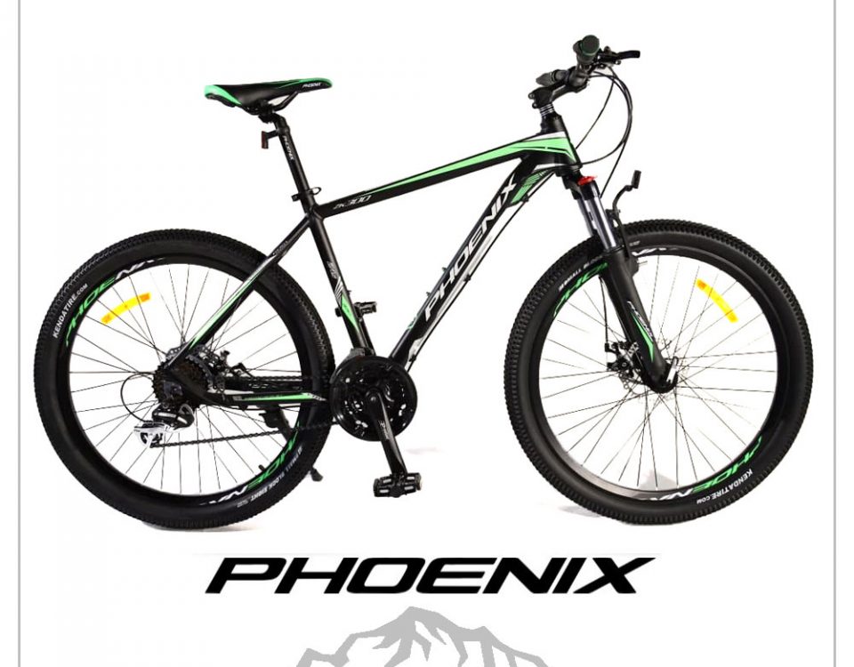 دوچرخه phoenix فونیکس ۲۶ اینچ ، ۲۱ دنده لوازم شیمانو اصلی مدل phoenix zk300 رنگ مشکی سبز