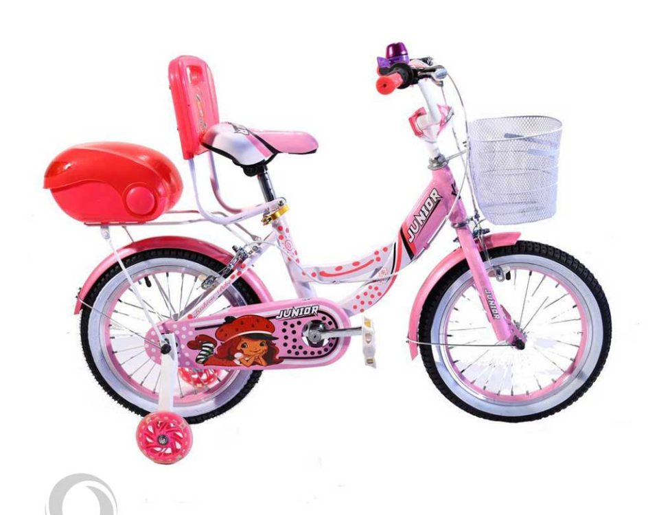 دوچرخه دخترانه کودک جونیور junior